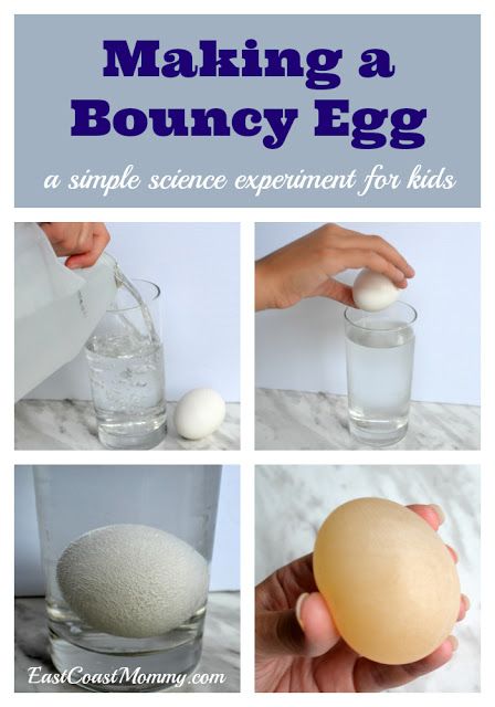 Bouncy Egg, Vetenskapliga Experiment, Science Experiment For Kids, Experiment For Kids, Rainy Summer, Diy Science Experiments, Science Experiments For Preschoolers, Simple Science, Science Crafts