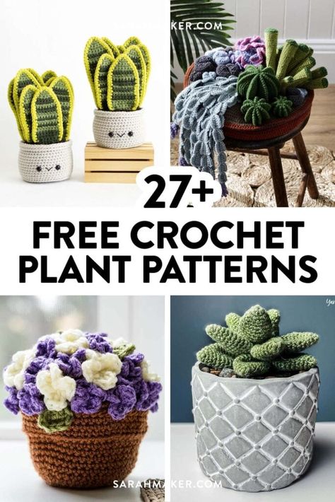 From succulents to cactus plants to ivy, this list has 27 free and easy crochet plant patterns you'll absolutely love. Crochet Plant Patterns, Sarah Maker, Crochet Cactus Free Pattern, Plants Crochet, Crochet Thread Size 10, Haunting Stories, Crochet Succulent, Crochet Plant Hanger, Crochet Plants