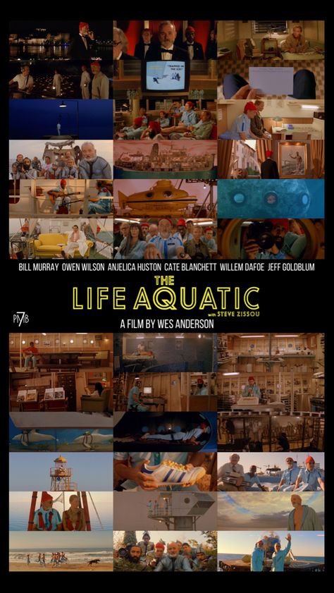 The Life Aquatic With Steve Zissou, Life Aquatic With Steve Zissou, Steve Zissou, The Life Aquatic, Anjelica Huston, Willem Dafoe, Owen Wilson, Life Aquatic, Bill Murray