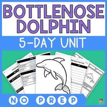 Bottlenose Dolphin Unit Study | Plan and NO PREP Activities | Ocean Animals Animals Lesson Plan, Cooperative Learning Groups, Spelling Lessons, Animal Lessons, Types Of Learners, Study Writing, Bottlenose Dolphin, Third Grade Classroom, Research Skills