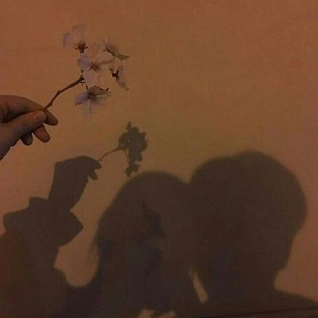 Silhouette Aesthetic, Couple Silhouette, Couple Aesthetic, The Future, A Place, Wattpad, Tumblr, Books, Flowers