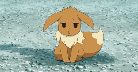 Eevee Pfp, Eevee Art, Pokemon Cover, Eevee Cute, Pokemon Eeveelutions, Eevee Evolutions, Cute Pokemon Pictures, Pokemon Eevee, Cute Pokemon Wallpaper