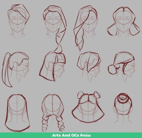 Male Hairstyles Reference Drawing, Updo Drawing Reference, Ponytail Drawing Reference Side View, Hair Bun Drawing Reference Front View, Ponytail Back View Drawing, Hair Drawing Reference Side View, Low Bun Drawing, Hair Drawing Reference Back View, Low Ponytail Drawing