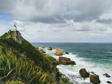 Places You Can't Miss In The South Island — Kiwi Talks Travel New Zealand Road Trip, New Zealand Travel Guide, Nz Travel, Road Trip Packing List, Wild Camp, Dangerous Roads, Bay Of Islands, New Zealand South Island, Travel Water Bottle