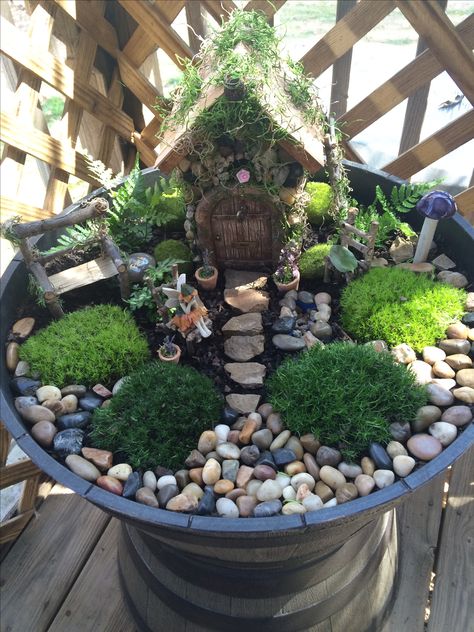 Fairy Garden Pot Ideas, Fairy Garden In A Pot, Small Fairy Garden Ideas, Miniature Gardens Design Ideas, Kids Fairy Garden, Fairy Garden Containers, Fairy Garden Pots, Fairy Garden Plants, Fairy Garden Decor