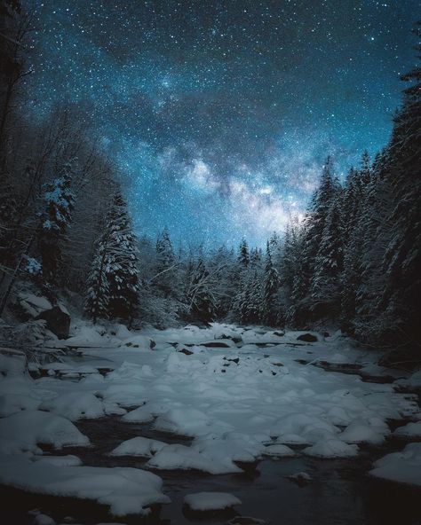 Starry Night Aesthetic, Starry Starry Night, Snowy Forest, Night Aesthetic, Book Aesthetic, Loki, Lighting Design, Starry Night, Maine