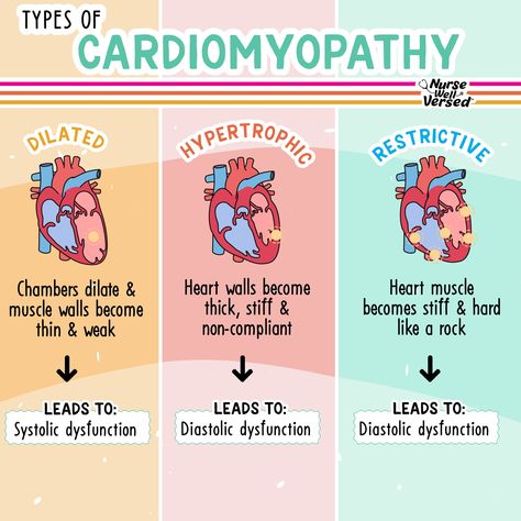 Cardiomyopathies Nursing, Cardiac Muscle, Nursing School Studying Cheat Sheets, Cardiology Nursing, Nursing School Essential, Nursing Study Guide, Heart Diseases, Nursing School Motivation, Basic Anatomy And Physiology