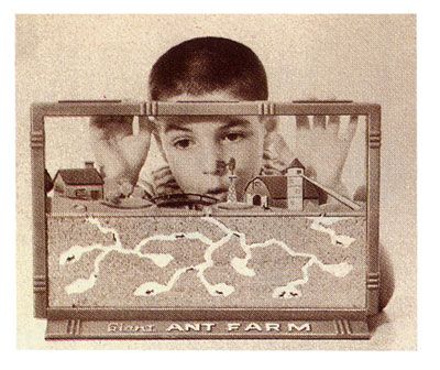 vintage ant farm images | The 1950′s Ant Farm | The Invisible Agent Preschool Ant, Flying Ants, Ant Farm, Ant Farms, Childrens Games, Green Frame, Oldies But Goodies, Baby Boomer, Real Friends