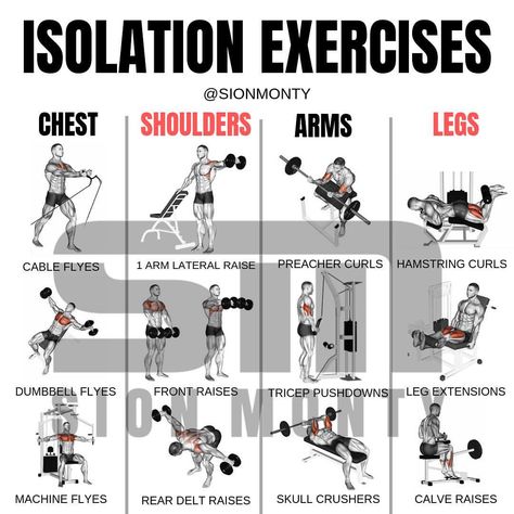 🏋🏻Compound vs 💪🏻Isolation Exercises by @sionmonty (Swipe Left) - ▪️Compound exercises targets and utilizes multiple major muscle groups and… Isolation Exercises, Bicep And Tricep Workout, Tricep Pushdown, Preacher Curls, Dumbell Workout, Rear Delt, Best At Home Workout, Workout Routine For Men, Compound Exercises