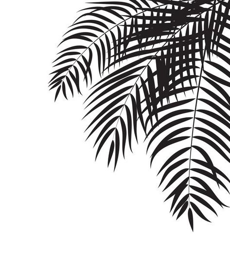 Beautifil palm tree leaf silhouette back... | Premium Vector #Freepik #vector #pattern #frame #tree #abstract Silhouette Background, Palm Tree Leaf, Palm Tree Vector, Palm Tree Silhouette, Leaf Silhouette, Palm Tree Pattern, Palm Tree Leaves, Leaf Illustration, Diy Wall Art Decor