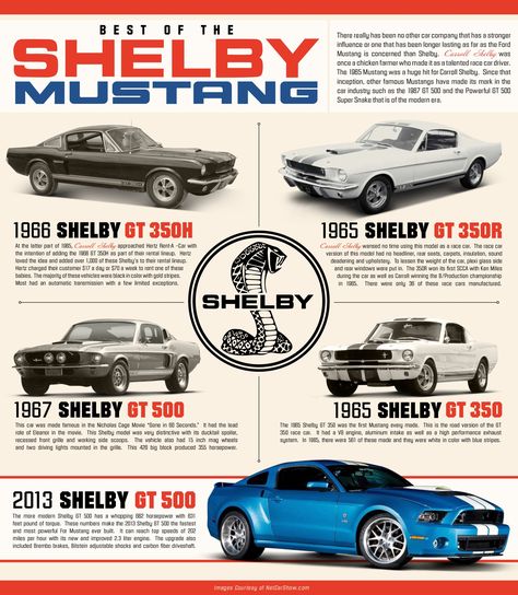 Shelby Gt 500, Shelby Car, Mustang Gt500, Shelby Mustang, Ford Mustang Shelby Gt500, Shelby Gt, Carroll Shelby, Mustang Fastback, Ford Classic Cars