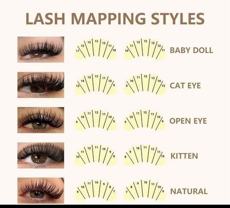 Lash Mapping Natural Eye, Lash Placement, Lash Tutorial, Lash Maps, Diy Lashes, Lash Map, It Makeup, Bigger Eyes, Lash Mapping