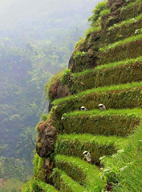 Hillside Farming, Hillside Terrace, Terraced Landscaping, Nice Photography, China Architecture, Homesteading Diy, Contour Lines, Rice Field, Vertical Farming