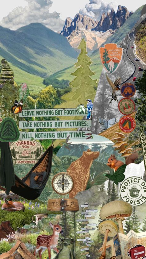 National Park Service Aesthetic collage background camping van life vibes inspiration nature mountains wildlife Granola Aesthetic Wallpaper, Aesthetic Collage Background, Service Aesthetic, Camping Wallpaper, Aesthetic Camping, Mountain Aesthetic, Granola Girl Aesthetic, Mountains Aesthetic, Life Vibes