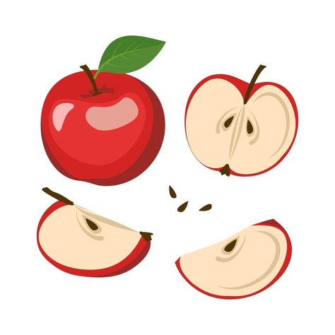 Apple Vector, Fruit Icons, Apple Icon, Apple Fruit, Vector Free Download, Flat Illustration, Sweet Snacks, Red Apple, Aesthetic Backgrounds