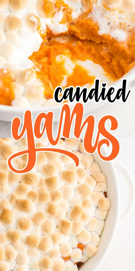 Cooked yams are mashed with melted butter and maple syrup, vanilla and brown sugar; then topped with a huge pile of mini marshmallows then toasted to perfection. Pop this casserole in the oven and make the kiddos' eyes light up when you tell them to eat their vegetables for Thanksgiving dinner. A perfect side dish. Homemade Yams With Marshmallows, Stove Top Candied Yams, Candied Yams Easy, Candied Yams With Marshmallows, Best Candied Yams Recipe, Yams With Marshmallows, Mashed Yams, Baked Candied Yams, Candied Sweet Potato Recipes