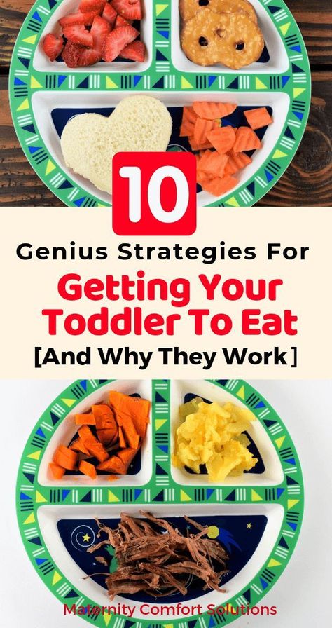 Meals For One Year Old Picky Eaters, 12 Month Old Picky Eater, Picky One Year Old Meals, Lunches For Picky Toddlers, Creative Toddler Meals, Kids Foods For Picky Eaters, Easy Food For Picky Eaters, Healthy Food For Picky Toddlers, How To Get Picky Eaters To Eat Healthy