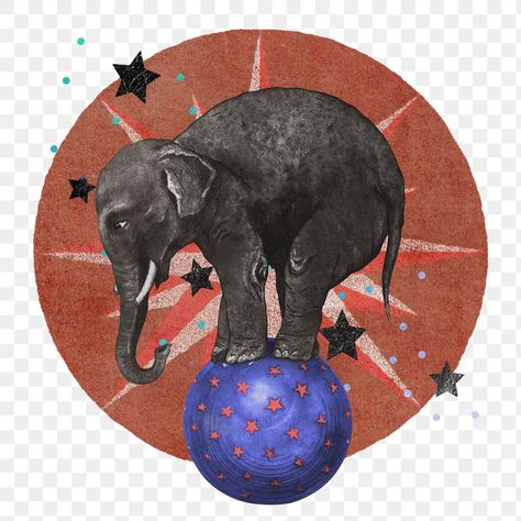 Train Png, Carnival Vintage, Elephant Circus, Collage Png, Sticker Transparent Background, Graphic Design University, Elephant Decal, Circus Aesthetic, Ephemera Collage