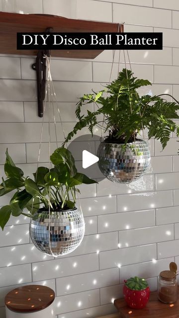 Sheri Wilson on Instagram: "DIY Disco Ball Planters 🪩🪴 the cutest addition to any space and so easy to make! Just make sure to use a hollow disco ball for this project (I found these on amazon)  Small disco balls (hollow inside) Small potted plants Plant hangers  1. Use a bowl the same size as your plant to measure the size of the hole you’ll need to make. Mark around the bowl with a marker. 2. Remove the tiles along the line you marked, then cut off the top of the disco ball with a box cutter. 3. Poke a hole in the bottom of the disco ball for drainage. 4. Place a plant inside the disco ball, then hang in an area with lots of direct sunlight for the most sparkle!  -remove from the planter to water for best results   #diy #discoball #planter #diyplanter  #summerdiy #amazonsummerfinds #mi Discoball Planter Diy, Diy Disco Ball Planter, Diy Disco Ball Decor, Hanging Disco Balls, Disco Planter, Sheri Wilson, Disco Ball Planter, Diy Disco Ball, Diy Wall Planter