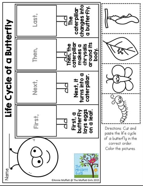 Science Life Cycles, Life Cycle Of A Butterfly, Cycle Of A Butterfly, Butterflies Activities, Animal Life Cycles, Preschool Fall, 1st Grade Science, First Grade Science, Fall Math