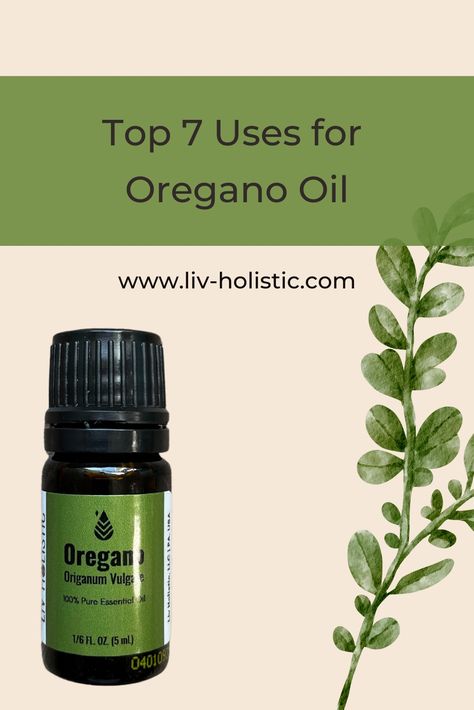 These are my favorite uses for oregano essential oil! This oil may not smell the best, but its versatility makes this oil a must-have! Click the link below to read more. #essentialoils #oregano Orengo Oil Benefits, Uses For Oregano, Doterra Oregano Oil, Doterra Oregano, Oregano Oil Benefits, Oils For Sinus, Essential Oils For Face, Oregano Essential Oil, Essential Oil Spray