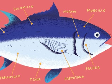 Tuna by Fran Pulido on Dribbble Tuna Drawing, Tuna Illustration, Tuna Graphic Design, Tuna Fish Illustration, Blue Fin Tuna, Parrotfish Illustration, Synergy Art, Work With Me, Vector Illustrations