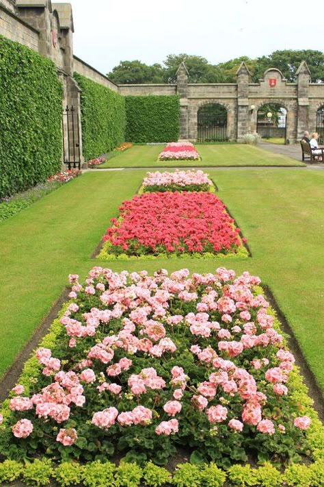 bed of roses... Acreage Landscaping, Landscaping Architecture, Rose Garden Landscape, Rose Garden Design, House Pics, Garden Flower Beds, Garden Wallpaper, Formal Garden, Formal Gardens