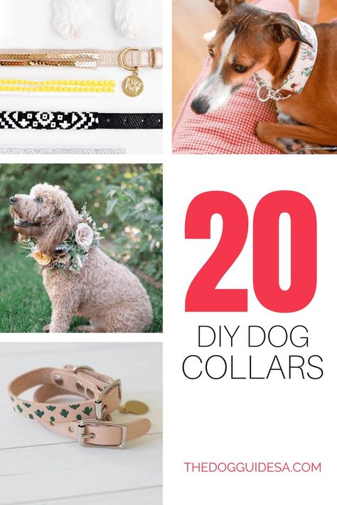 grid collage of different dogs and dog collars, text  reads "20 DIY Dog Collars thedogguidesa.com" How To Make Fancy Dog Collars, Diy Dog Jewelry Collars, Diy Bling Dog Collar, Diy Christmas Dog Collar, Diy Dog Necklace, Dog Jewelry Collar, Dog Collars Diy, Dog Collar Diy Tutorials, Pet Collars Diy