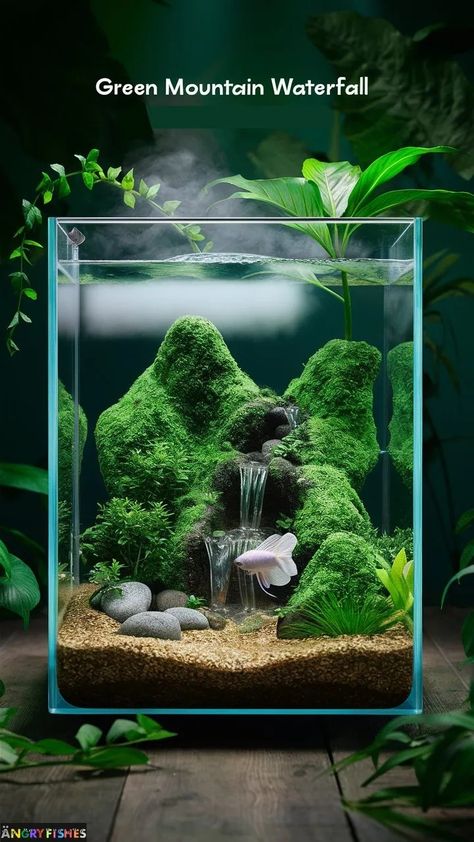 Aquarium Tank Design, Fairy Fish Tank, Aquarium Tank Ideas, Fish Tank Set Up Ideas, Goldfish Tank Aesthetic, Plant Aquarium Ideas, Mini Aquarium Ideas, Guppy Fish Tank, Aesthetic Fish Tank Ideas