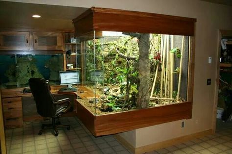 I would love this office space! Snake Terrarium, Animal Enclosures, Reptile House, Enclosure Ideas, Cool Office Space, Reptile Room, Glass Aquarium, Reptile Terrarium, Aquarium Terrarium