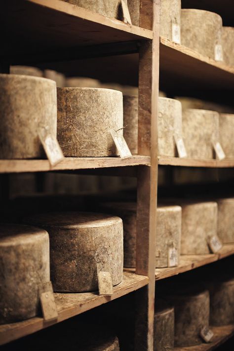 Traditional Somerset Cheesemakers - Westcombe Dairy - Dairy Snacks, Farm Fresh Milk, Dairy Desserts, Cheese Maker, Somerset England, Dairy Drinks, Types Of Cheese, Artisan Cheese, West Country