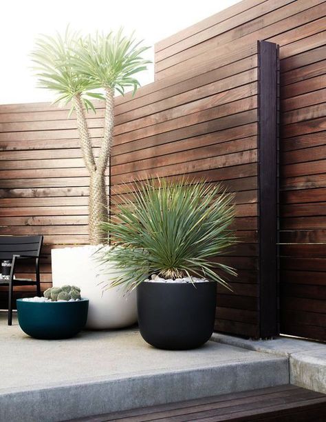 Terrace Shade, Diy Garden Patio, Garden Patio Decor, Courtyard Design, Landscape Plans, Backyard Garden Design, Backyard Fences, Diy Landscaping, Wooden Fence