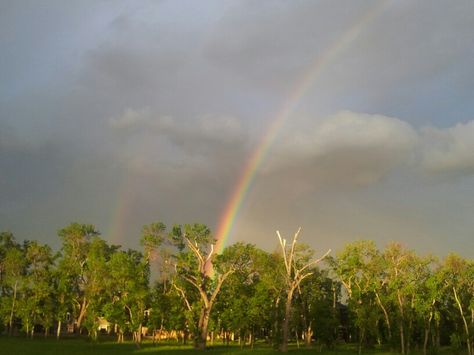 Sunshower Aesthetic, Pjo Aesthetic, Overgrown Garden, Mlp Ocs, Rainbow Aesthetic, Rainy Night, Summer Rain, Clear Sky, Camp Half Blood