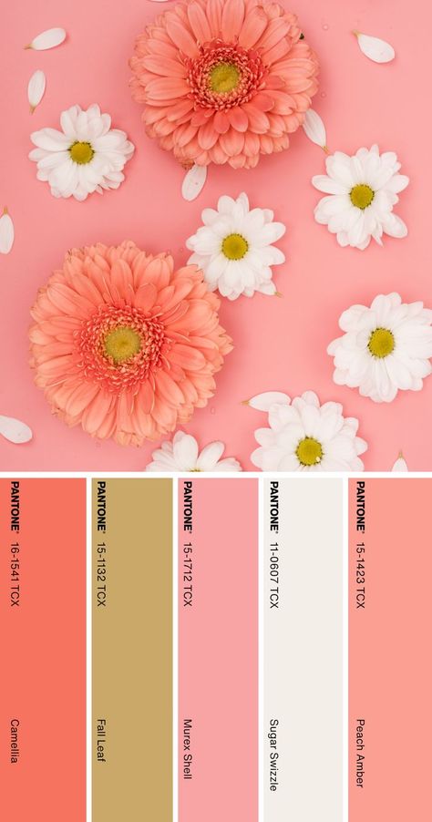 Mothers Day Color Palette, Pantone Color Palette Charts, Pantone Color 2024, Pantone 2024 Color Trends, Pantone Flower, Color Palette Pantone, Pantone Color Palette, Brunch Picnic, Pantone 2024