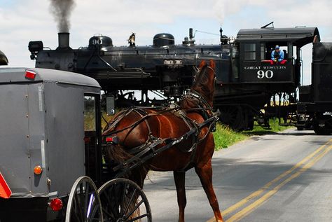 Strasburg Railroad, Amish Buggy, Steam Trains Photography, Dinner Train, Design Problems, Train Vacations, Wine Train, Allegheny Mountains, Train Trips