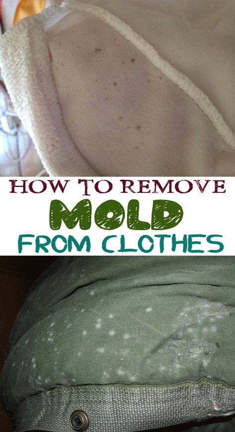 If you have forgotten your clothes in a cupboard, you will probably notice some mold stains on them. See what you can do about it in the following article. Remove Mold From Clothes, How To Remove Mold, Baggy Eyes, Homemade Toilet Cleaner, Remove Mold, Cleaning Painted Walls, Mold Removal, Glass Cooktop, Deep Cleaning Tips