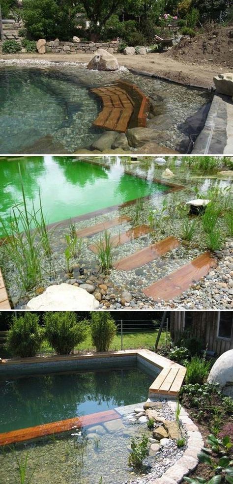 Moderne Pools, Swimming Ponds, Building A Swimming Pool, Natural Swimming Ponds, Indoor Pools, Family Pool, Swimming Pond, Natural Swimming Pools, Natural Swimming Pool