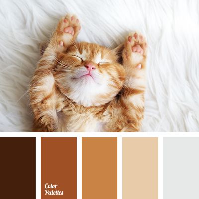 Color Palette #2927 | Color Palette Ideas Cat Color Palette, Complementary Colors Examples, Colors Pallets, Pallets Color, In Color Balance, Palettes Color, Combination Color, Split Complementary Colors, Colorful Logo Design