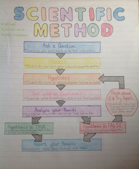 Scientific Method Flow Chart Scientific Method Anchor Chart 3rd Grade, Scientific Method Notes, Flow Chart Ideas, Scientific Method Anchor Chart, Scientific Method For Kids, Scientific Method Steps, Scientific Method Posters, Science Chart, Lap Books