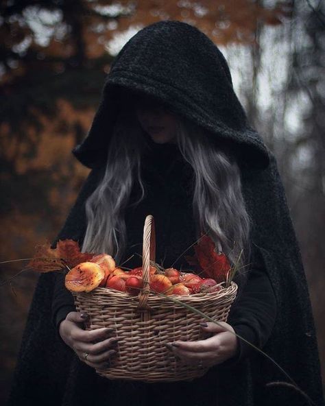 Forest Witch Photoshoot, Samhain Photoshoot, Autumn Witch Aesthetic, Mabon Aesthetic, Witchy Shoot, Forest Shoot, Winter Witch, Moon Board, Era Victoria