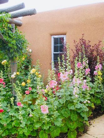 Southwest Landscaping, Mexico Garden, Adobe Wall, Southwest Garden, High Desert Landscaping, Adobe Homes, Bunny Cottage, New Mexico Style, New Mexico Homes