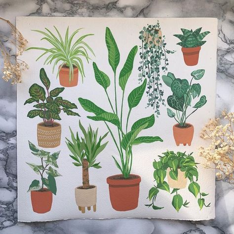 Jasmin on Instagram: "Some simple gouache houseplants on 30x30cm watercolor paper 🪴 - - - - #gouache #gouachepainting #winsorandnewton #schmincke #artist #painting #creative #aesthetic #artsy #flowerpainting #natureart #houseplant #houseplantlove #houseplantpainting #houseplantillustration #houseplantart #plantart #plantillustration #plantpainting #philodendron #syngonium #spiderplant #calathea #stringofhearts #succulent #plantsofinstagram #houseplantcommunity" Houseplant Drawing, House Plant Painting, Plant Painting Ideas, Houseplant Art, Plant Paintings, Simple Gouache Painting, Pothos Painting, Simple Succulent Painting, Gouache Plants