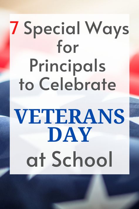 Celebrating Veterans Day At School, Veteran’s Day Celebration, Veterans Day Program Ideas Elementary, Veterans Day Display School, Veterans Day Elementary School, Veterans Day School Ideas, Veterans Day At School, Veterans Day Service Projects, Veterans Day Event Ideas