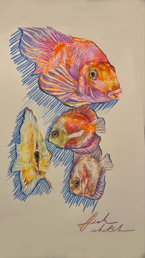 aesthetic drawing, art inspo, sketch inspo, pencil crayon sketch, colorful sketch, realistic style sketch, fish drawing, ap art, advanced art inspo, art portfolio inspo, daily sketch inspo Underwater Colored Pencil Drawing, Easy Drawing Colored Pencils, Color Pencils Sketch, Pencil Color Art Aesthetic, Coloring Pencils Art, Colored Pencil Fish Drawing, Colored Pencil Sea Animals, Koi Fish Colored Pencil, Colourful Fish Drawing