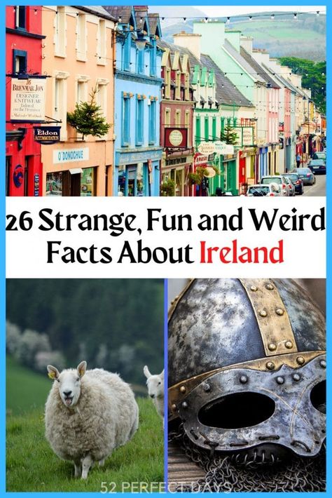 Ireland Culture Project, Fun Facts About Ireland, Facts About Ireland, Ireland Facts, Silly Facts, Ireland Culture, Ireland Itinerary, Country Studies, Cultural Travel