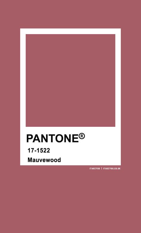 pantone mauvewood, pantone color, pantone color names, pantone , color names, mauvewood , mauve color Pantone Mauve Colour Palettes, Mouve Colour Pallet, Pink Color Names, Pantone Pink Shades, Mauve Pantone, Wedding Colour Combinations, Dark Academia Color Palette, Pantone Color Palette, Wedding Colour Theme