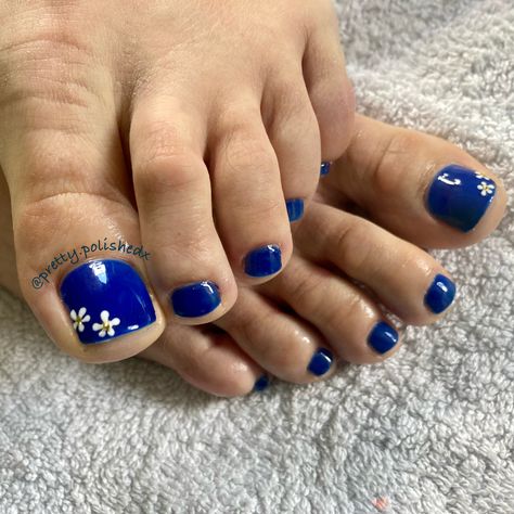 Blue And White Pedicure, Royal Blue Pedicure, Royal Blue Toe Nails, Blue Pedicure, Pedicure Design, Blue Toe Nails, White Pedicure, Royal Blue Flowers, Flowers Daisies