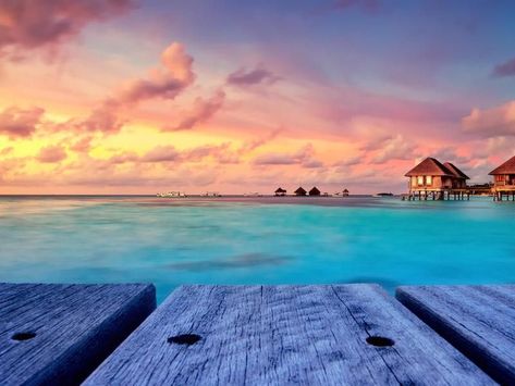 Maldives Bungalow, Maldives Wallpaper, Visit Maldives, Destination Voyage, Beaches In The World, Romantic Travel, Virgin Islands, French Polynesia, Beautiful Islands