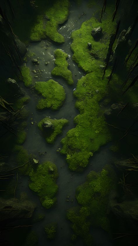 Swamp Battle Map Dnd, Swamp Battlemap, Swamp Map, Tabletop Rpg Maps, Dnd Maps, Rpg Maps, Rpg Map, D D Maps, Cat Cafe