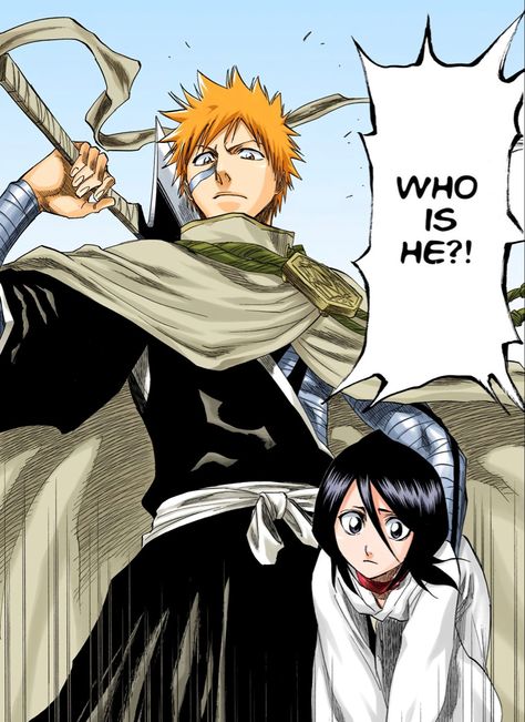 Ichigo Manga, Ichigo X Rukia, Rukia Bleach, Ichigo Y Rukia, Soul Society, Ichigo And Rukia, Byakuya Kuchiki, Profile Images, Ichigo Kurosaki